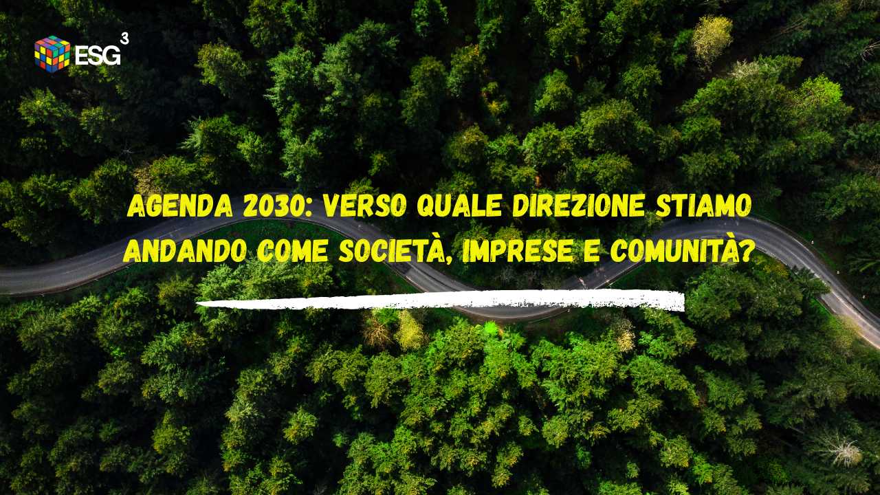 Agenda-2030-e-obiettivi-di-sviluppo-sostenibile-ESG3-news